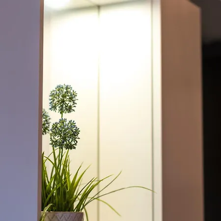 Casa Ludovica Apartman